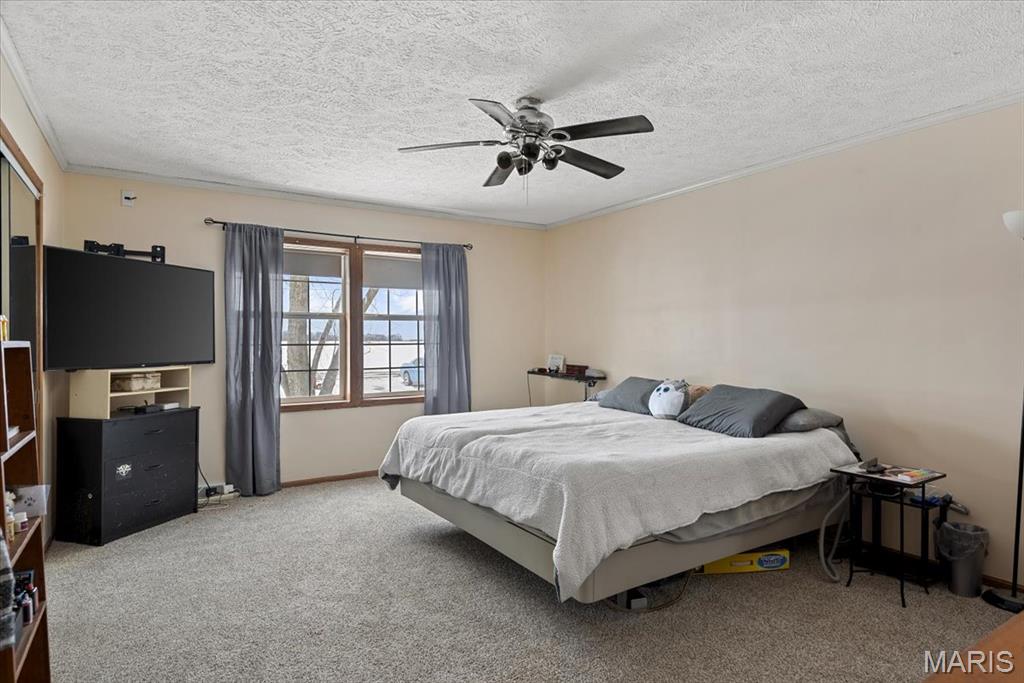 13560 Gilmore Road Auburn, IL 62615 - Photo 8 of 19