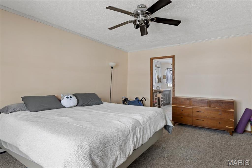 13560 Gilmore Road Auburn, IL 62615 - Photo 9 of 19