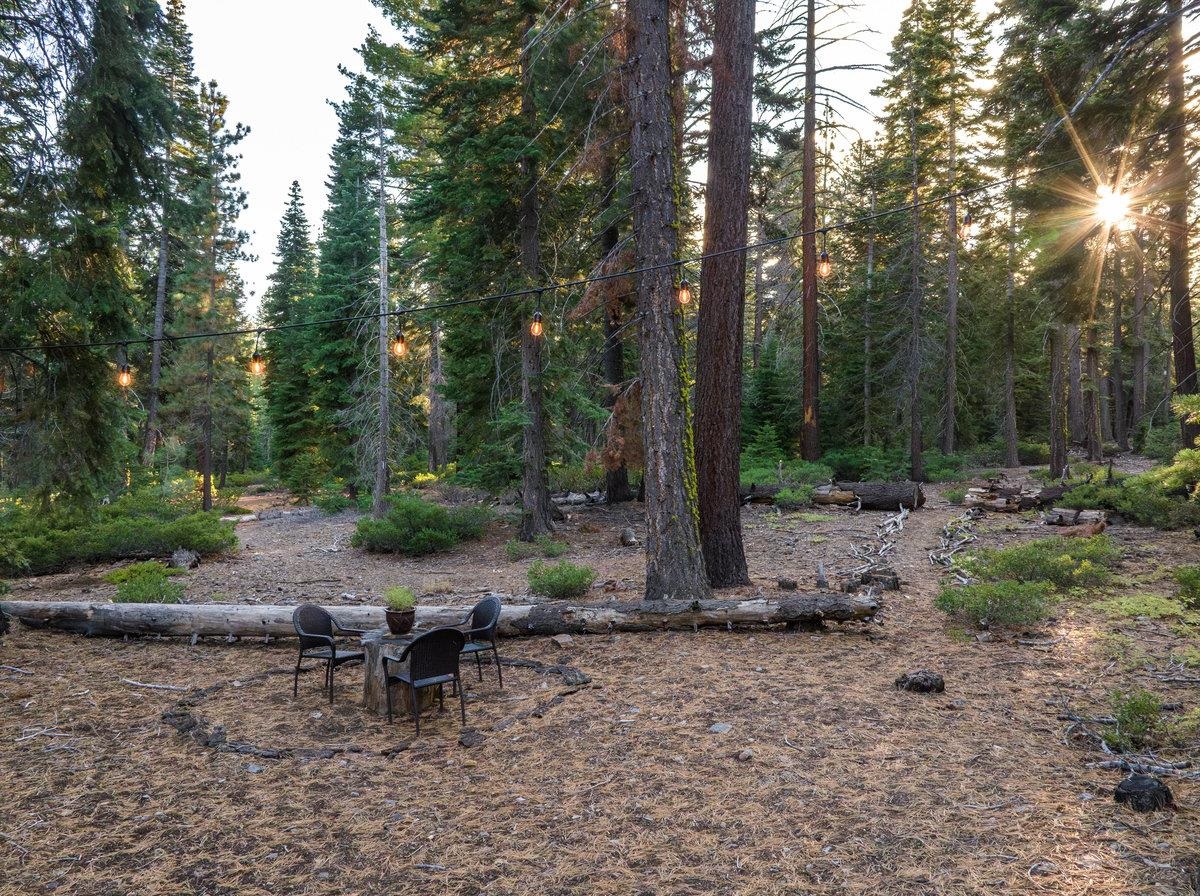 4465 North Ridge Road Carnelian Bay, CA 96140 - Photo 26 of 28 a view of a forest with chairs and trees