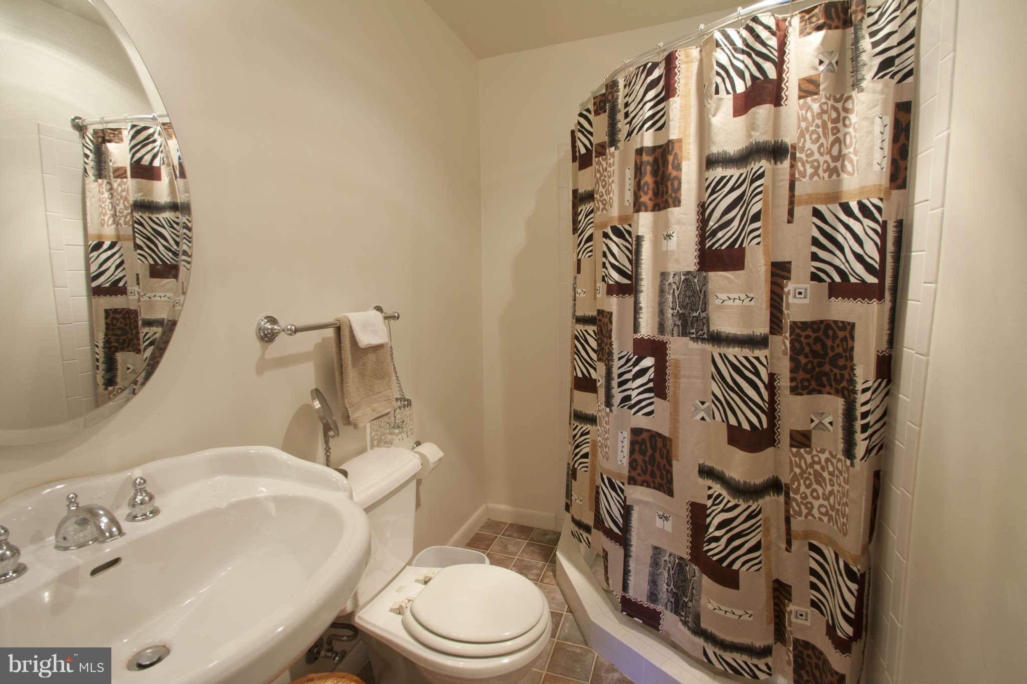 443 Colonial Ridge Lane Arnold, MD 21012 - Photo 5 of 26 Bath (Master)