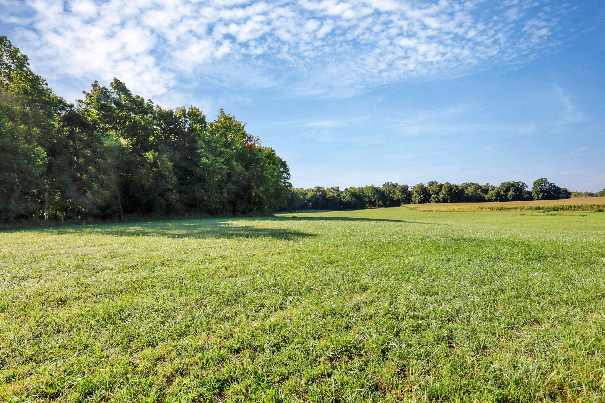 4770 Johnstown Road Centerburg, OH 43011 - Photo 49 of 57 27-web-or-mls-_MG_8472