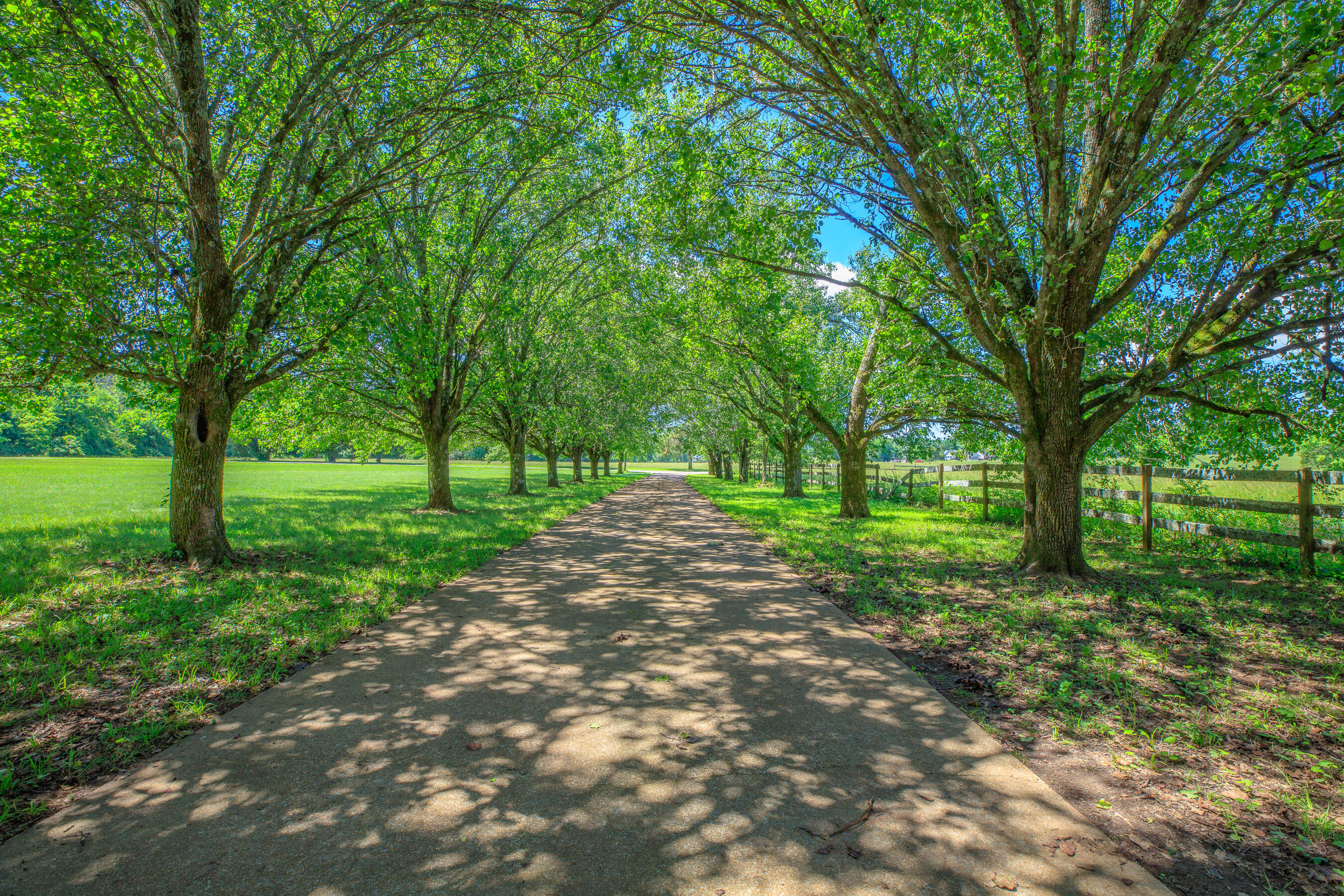 7902 Ooltewah Georgetown Road Ooltewah, TN 37363 - Photo 4 of 55 7902 Ooltewah Georgetown HD-6 (9)