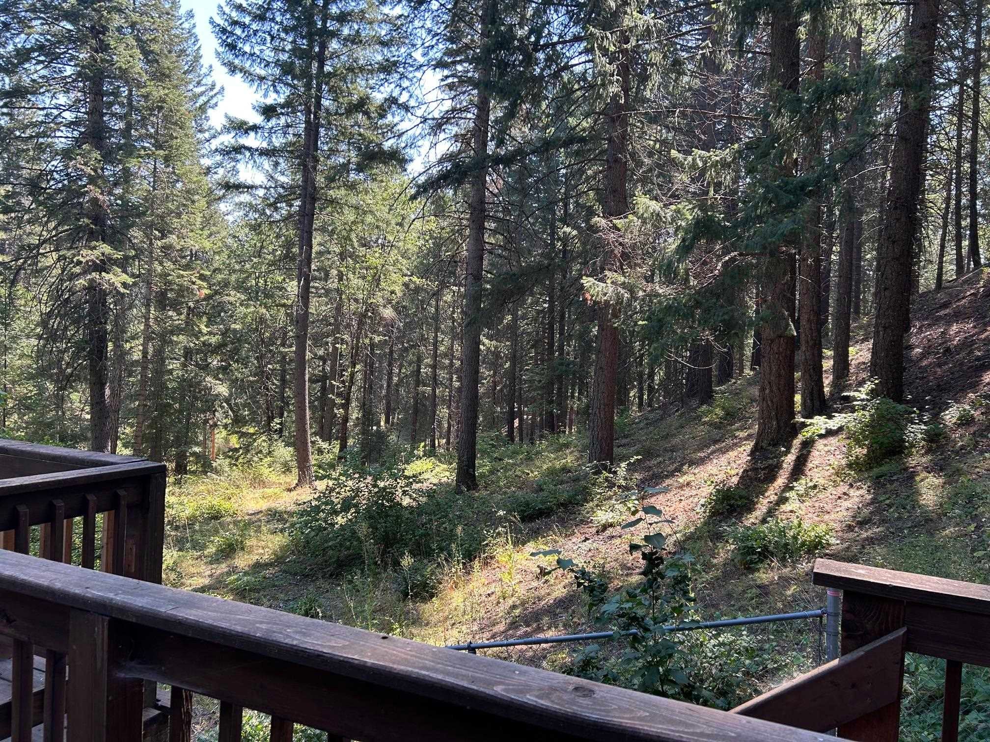 1404 South Shasta Ranch Road Mount Shasta, CA 96067 - Photo 41 of 48 Gallery Image 41
