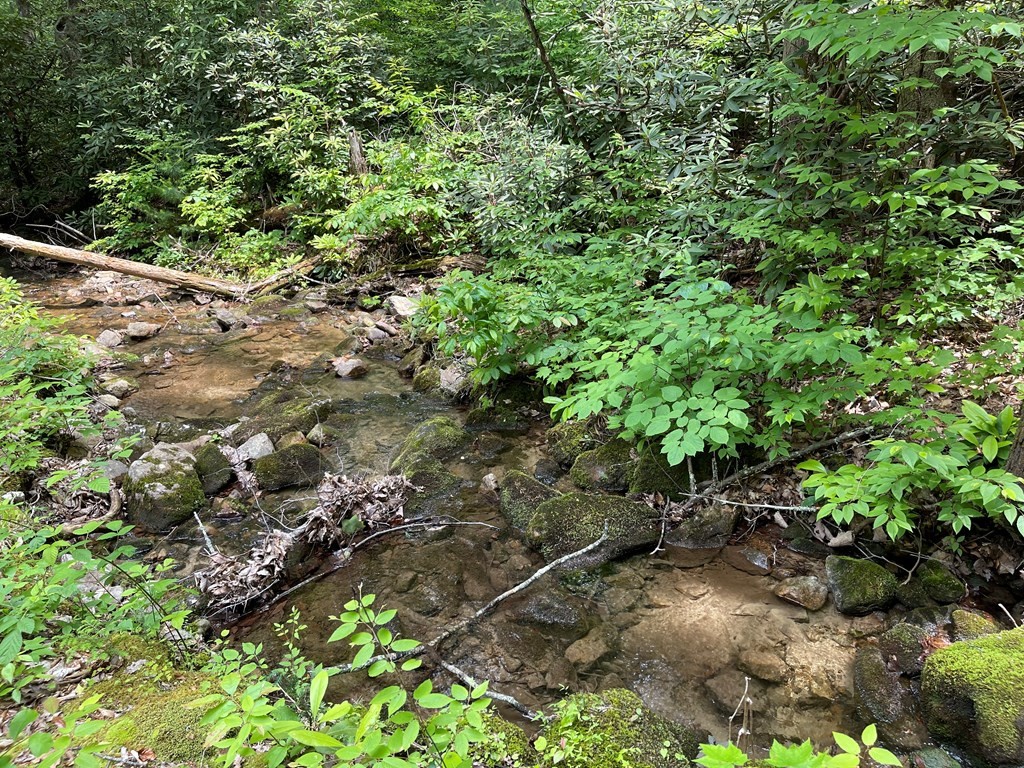 3394 Rocky Ridge Road Cosby, TN 37722 - Photo 30 of 58