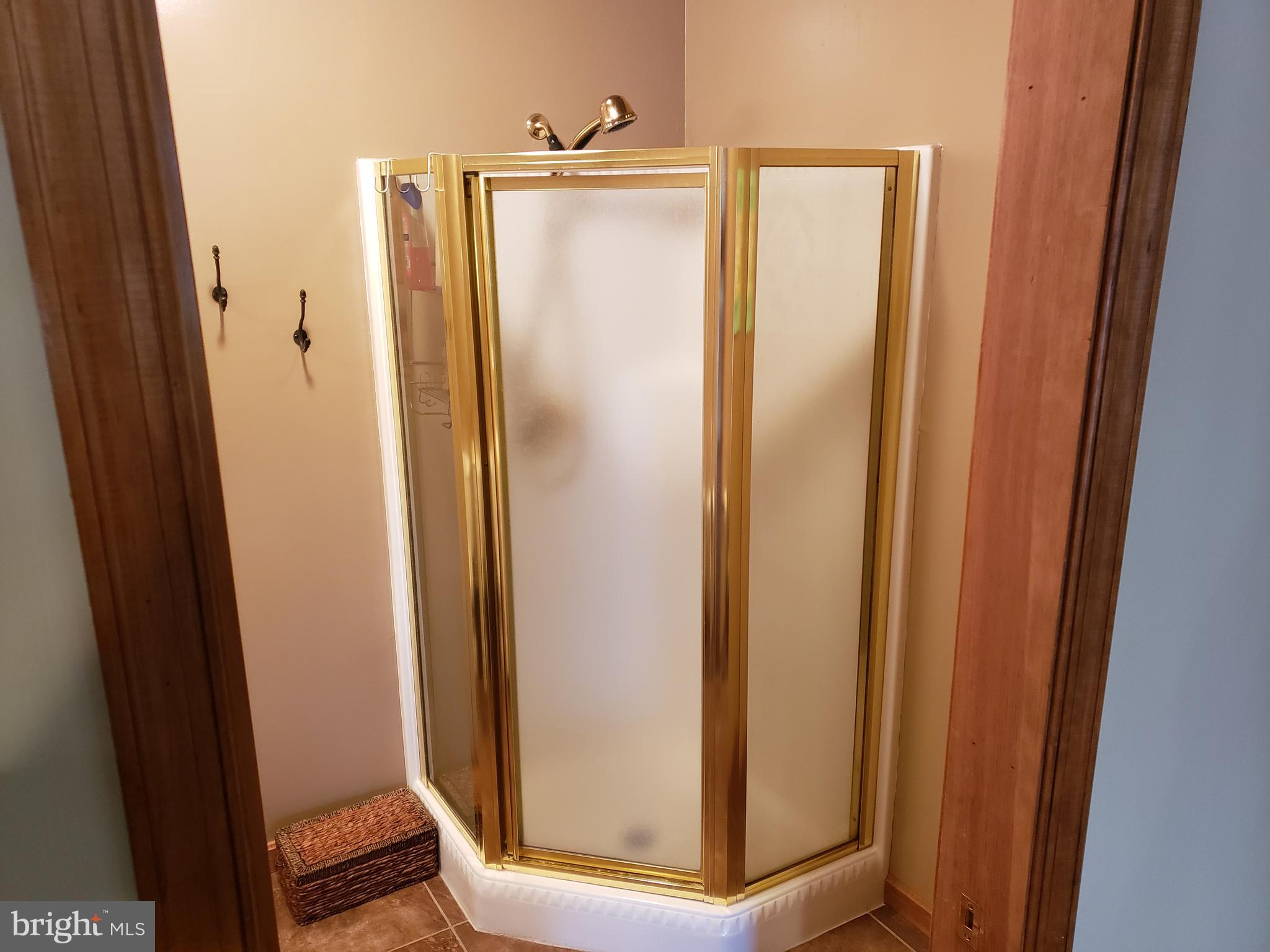 29058 Discount Land Road Laurel, DE 19956 - Photo 18 of 41 Downstairs Shower