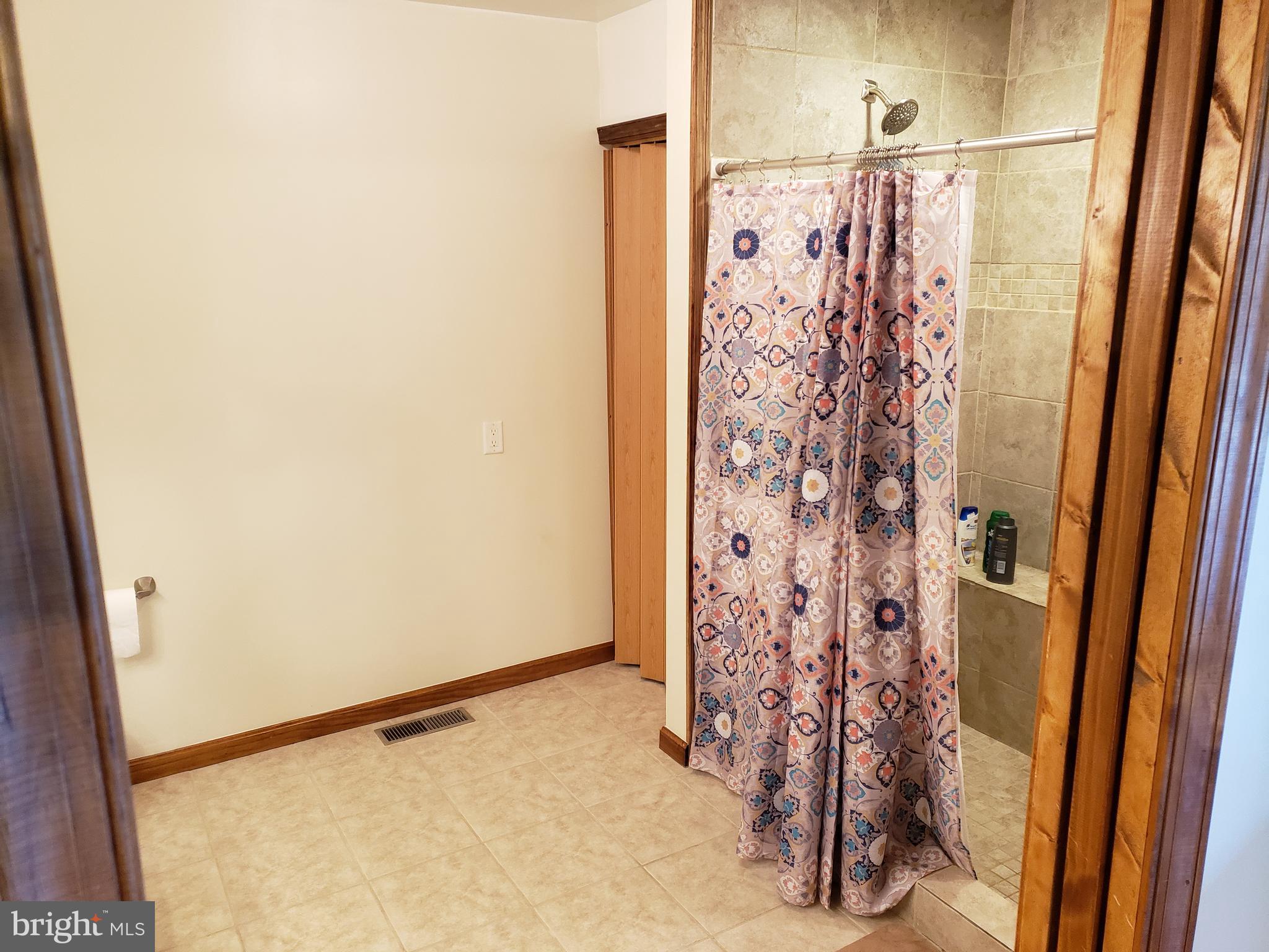 29058 Discount Land Road Laurel, DE 19956 - Photo 24 of 41 Master bath w/ 48"x75" walkin shower w/ dual heads