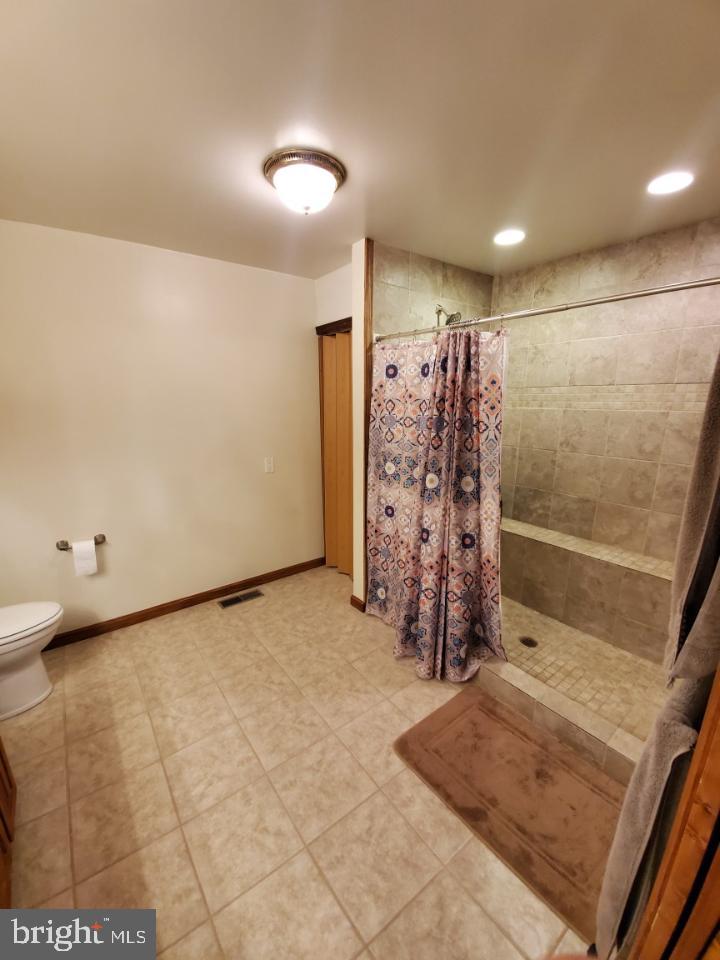 29058 Discount Land Road Laurel, DE 19956 - Photo 25 of 41 Master Shower