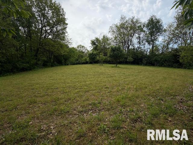 4231 Stone Road Springfield, IL 62707 - Photo 78 of 85