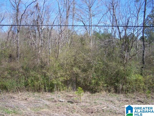 0 Mitchellville Road, Unit ACREAGE Lincoln, AL 35096 - Photo 14 of 19