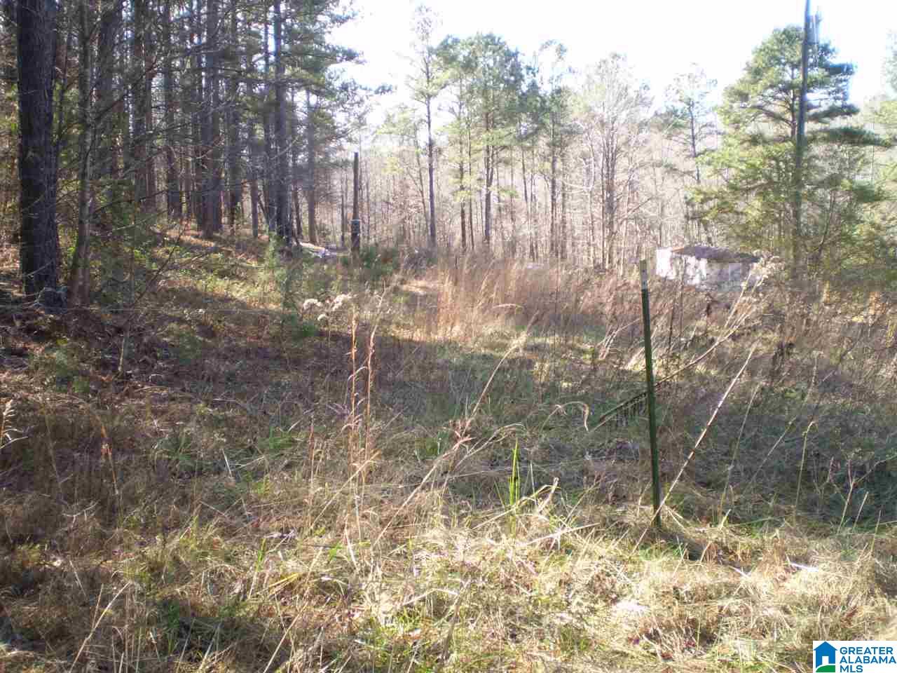 170 Pine Ridge Lane, Unit TRACT A Pell City, AL 35125 - Photo 11 of 15