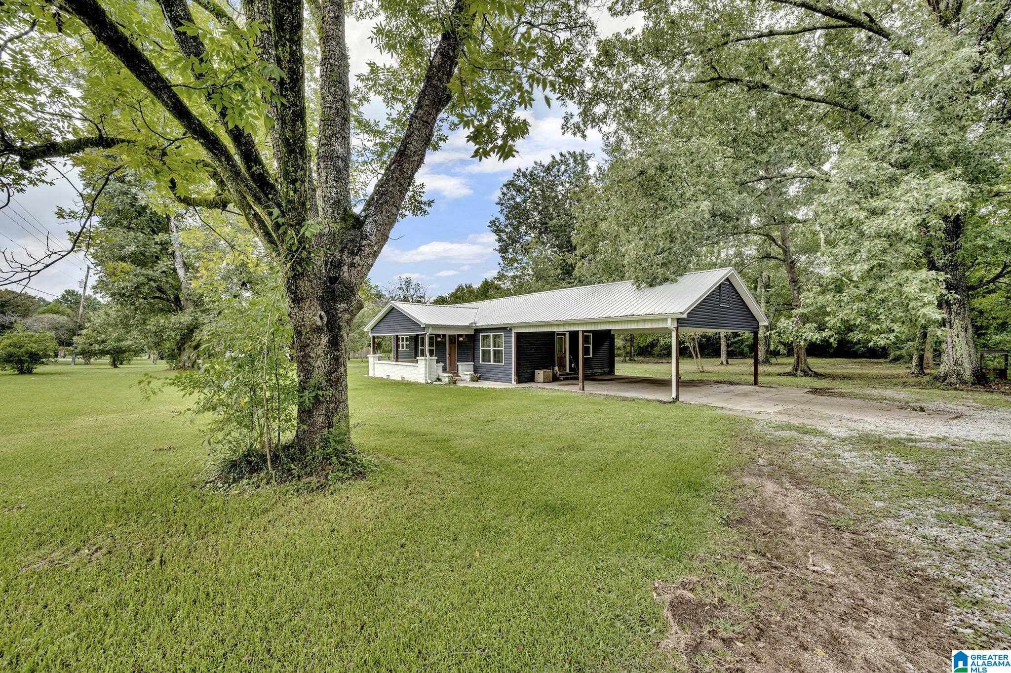 13596 Highway 11 Springville, AL 35146 - Photo 3 of 27