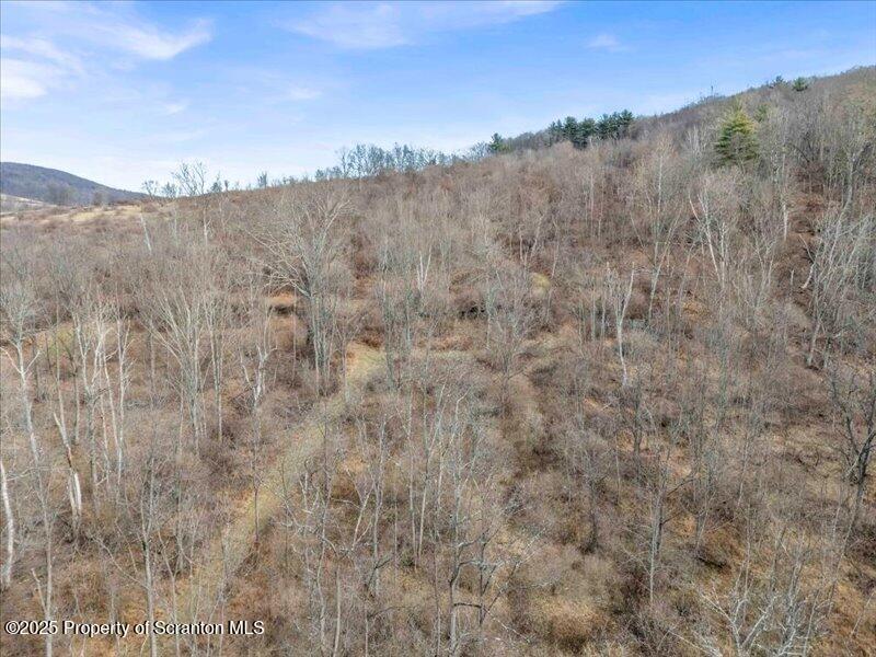 1338 Whites Ferry Road Falls, PA 18615 - Photo 44 of 46