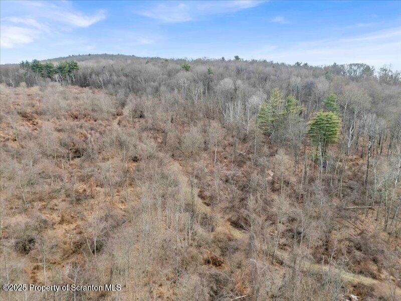 1338 Whites Ferry Road Falls, PA 18615 - Photo 45 of 46 a view of a dry space with lots of trees