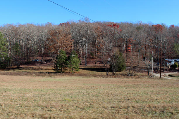 1305 Old Alabama Road Southwest McDonald, TN 37353 - Photo 14 of 15 IMG_9951
