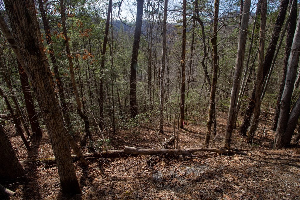 10 Sunset Road Sevierville, TN 37862 - Photo 10 of 17