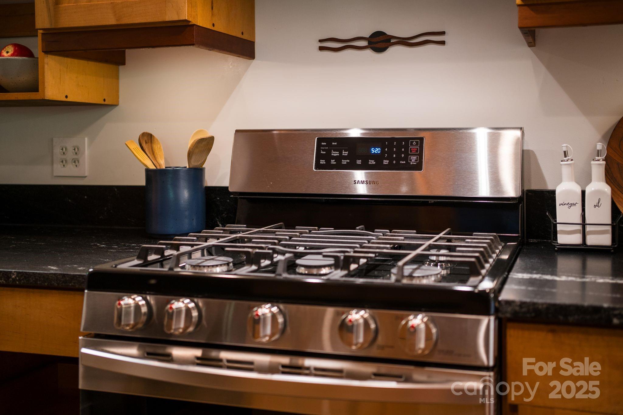 48 Black Oak Forest Road Fairview, NC 28730 - Photo 24 of 48 a close view of stove