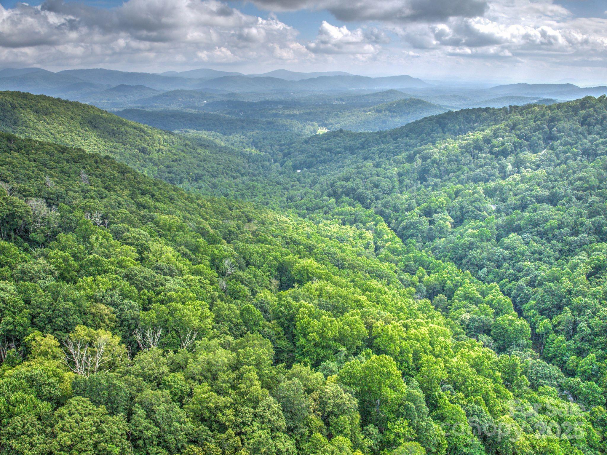 48 Black Oak Forest Road Fairview, NC 28730 - Photo 4 of 48 a view of a yard