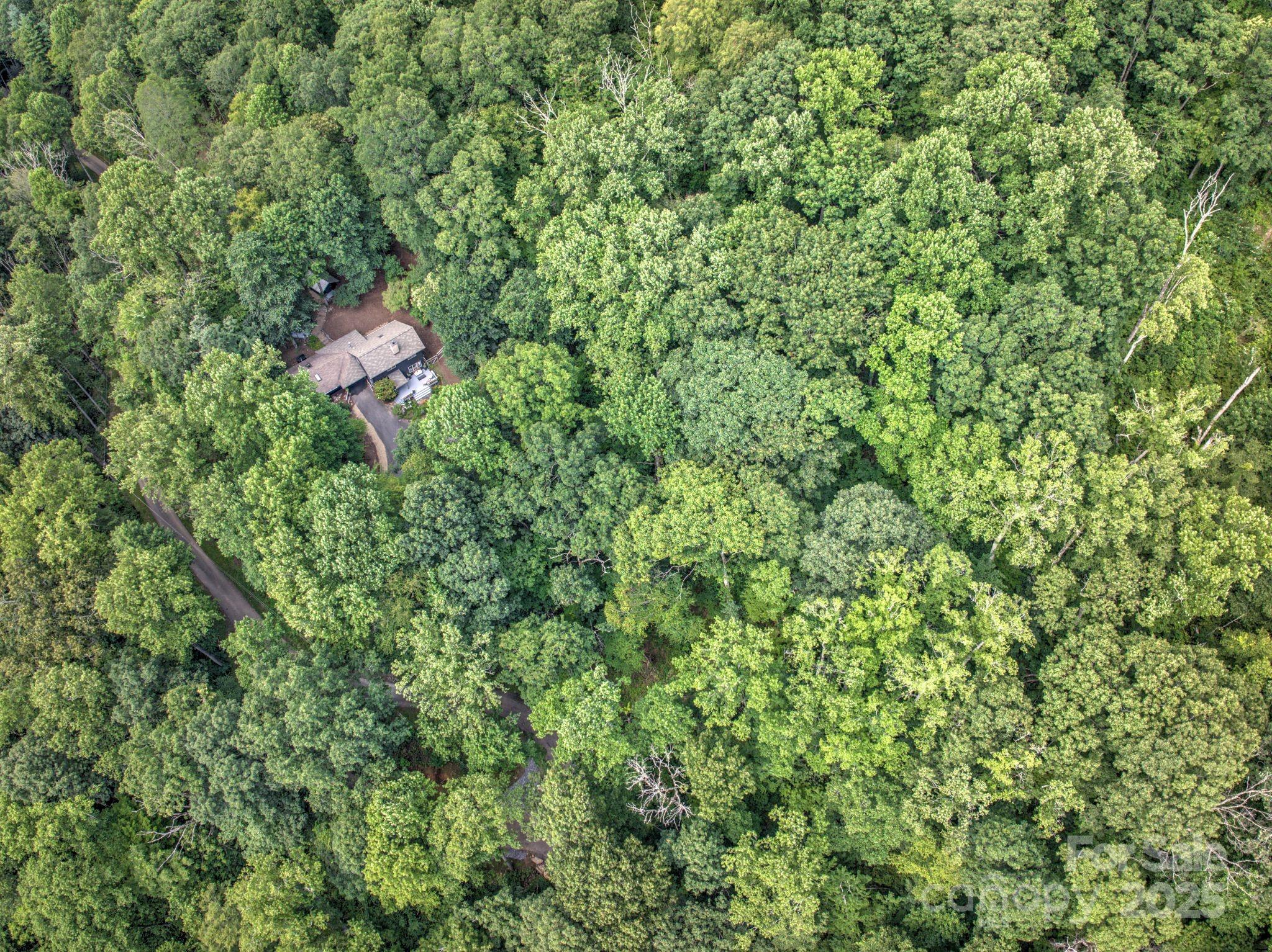 48 Black Oak Forest Road Fairview, NC 28730 - Photo 44 of 48 a view of a house with a tree