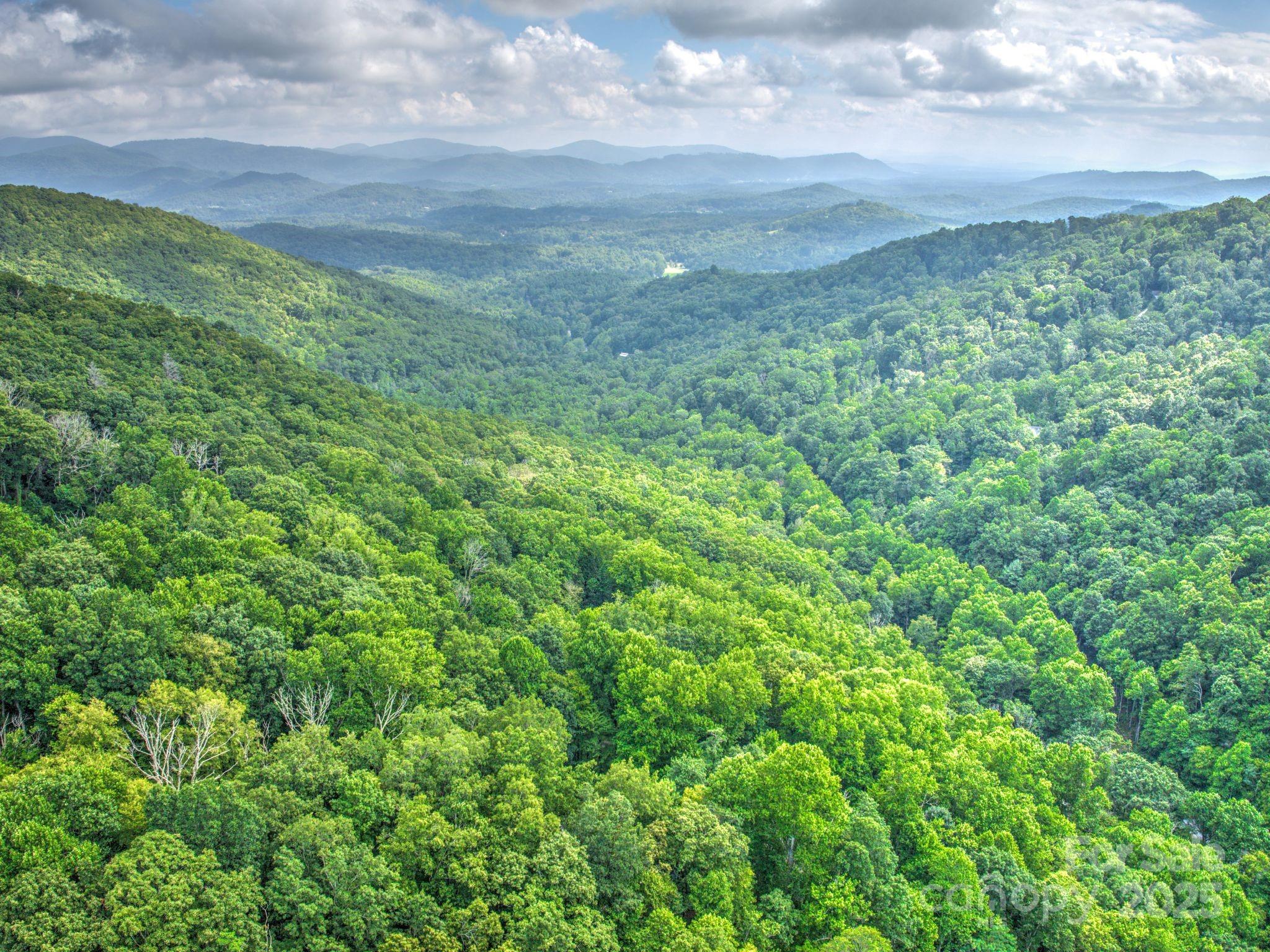 48 Black Oak Forest Road Fairview, NC 28730 - Photo 45 of 48 a view of a field of grass and trees