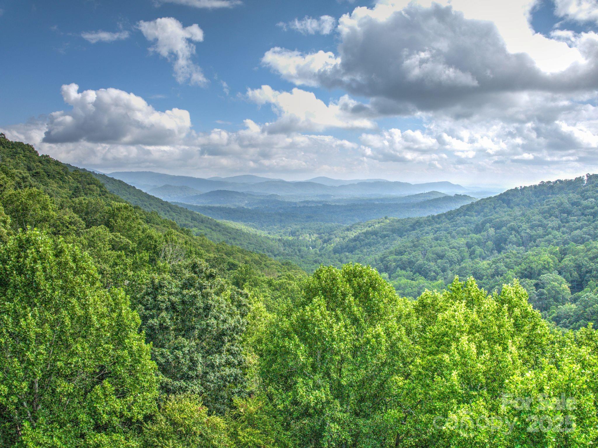48 Black Oak Forest Road Fairview, NC 28730 - Photo 46 of 48