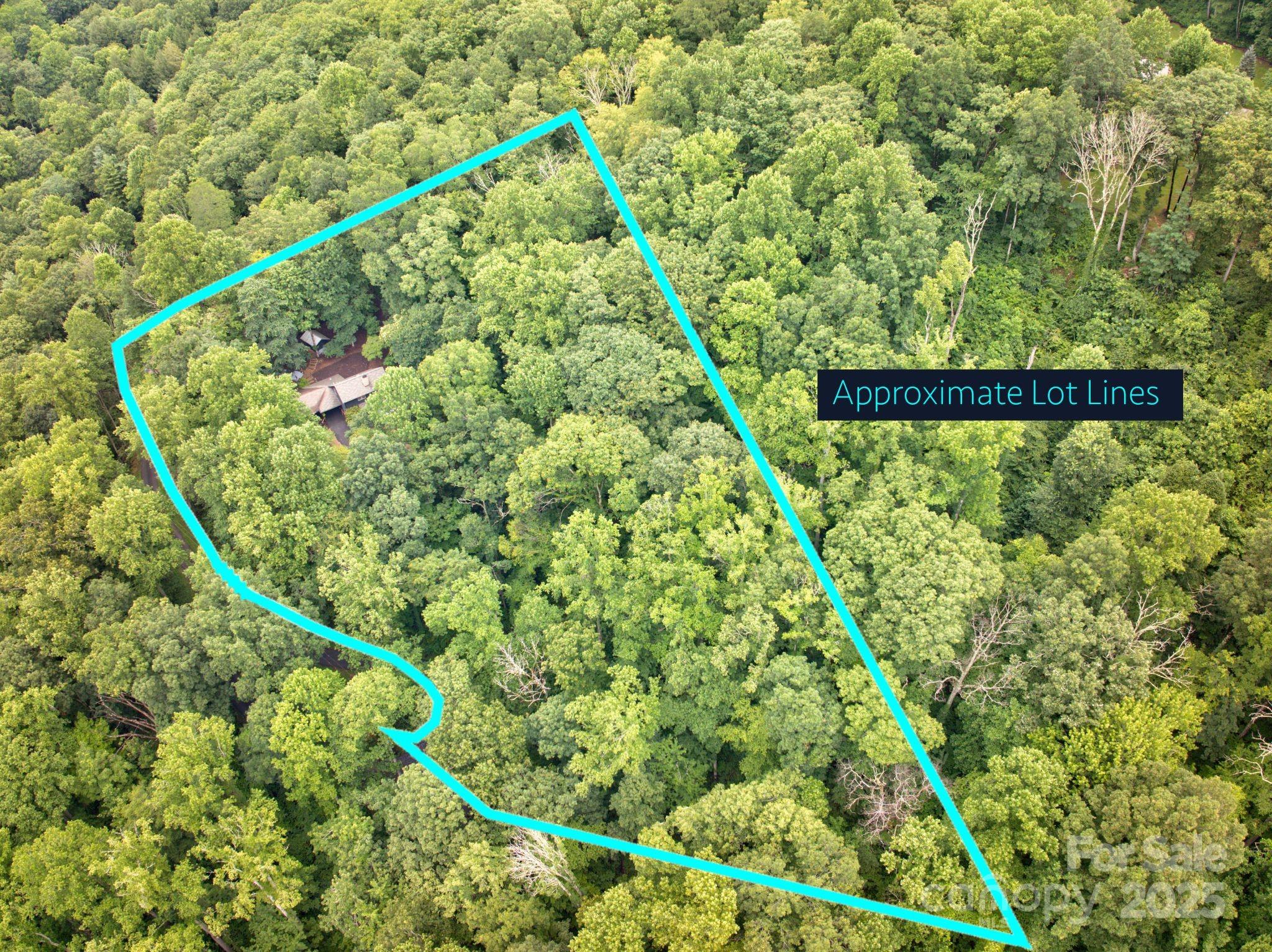 48 Black Oak Forest Road Fairview, NC 28730 - Photo 47 of 48 a picture of a tree with a plant in the background