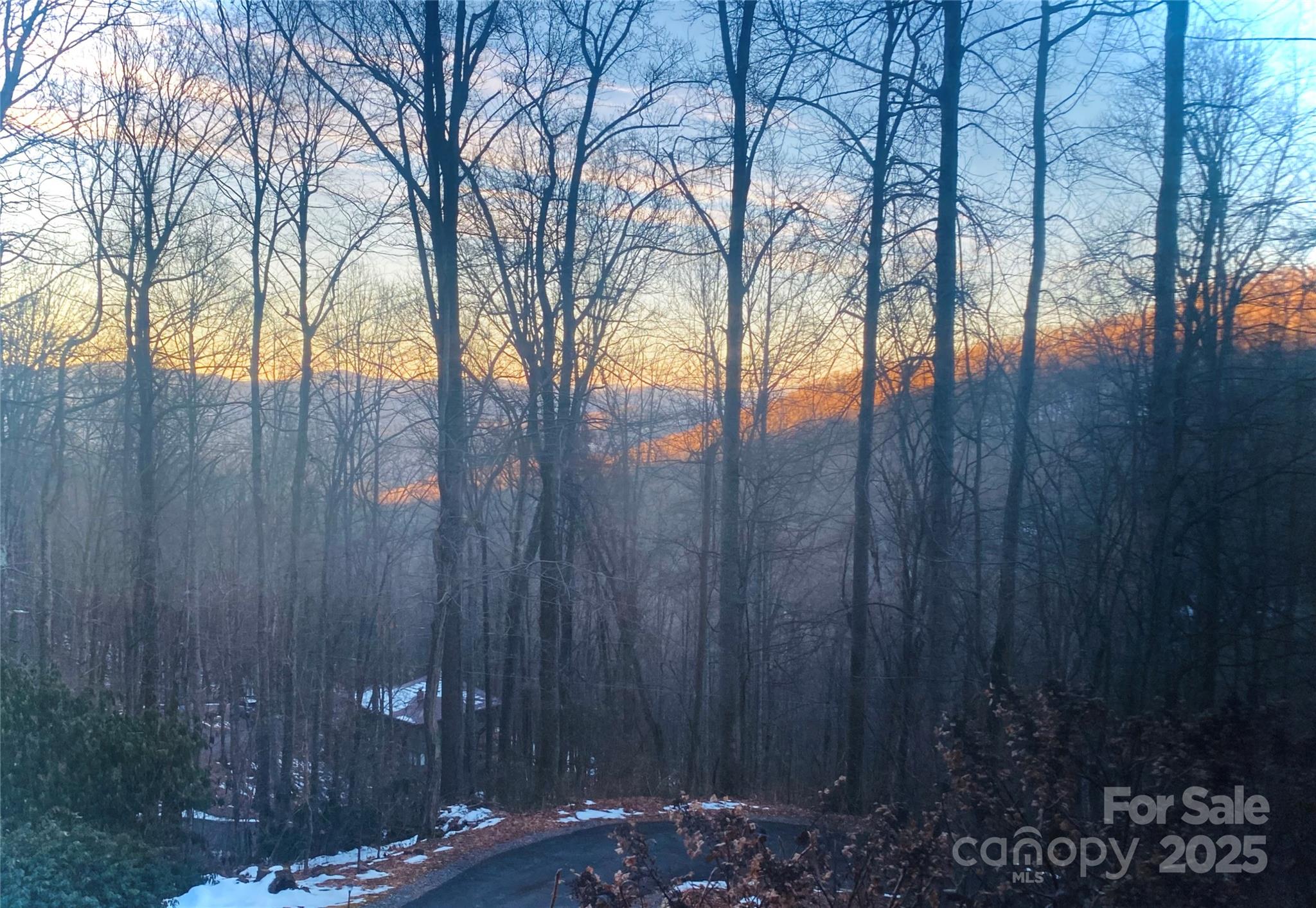 48 Black Oak Forest Road Fairview, NC 28730 - Photo 48 of 48 a view of backyard with trees