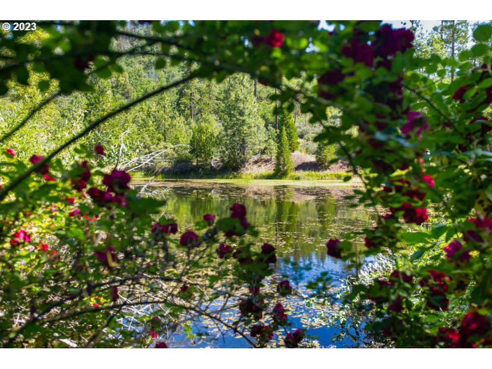 890 Crowfoot Road Eagle Point, OR 97524 - Photo 11 of 48