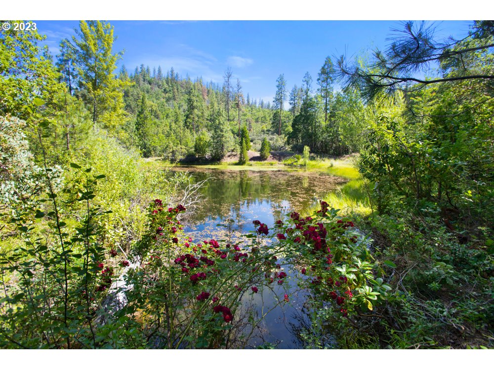 890 Crowfoot Road Eagle Point, OR 97524 - Photo 12 of 48 a view of a lake with houses