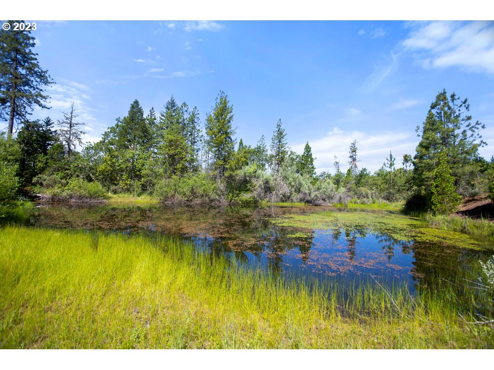890 Crowfoot Road Eagle Point, OR 97524 - Photo 13 of 48 a view of a lake with houses in the background