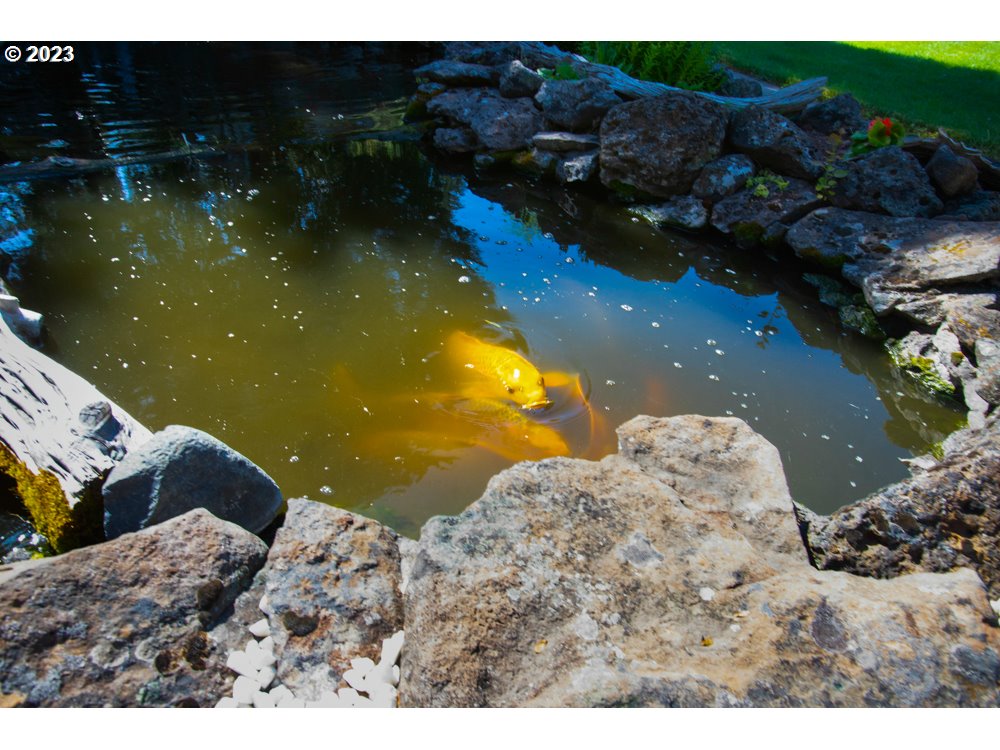 890 Crowfoot Road Eagle Point, OR 97524 - Photo 26 of 48 a view of lake view