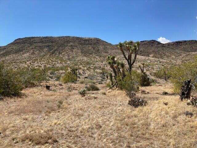 55346 Pipes Canyon Road Yucca Valley, CA 92284 - Photo 3 of 9 landmls