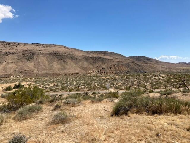 55346 Pipes Canyon Road Yucca Valley, CA 92284 - Photo 4 of 9 vumls