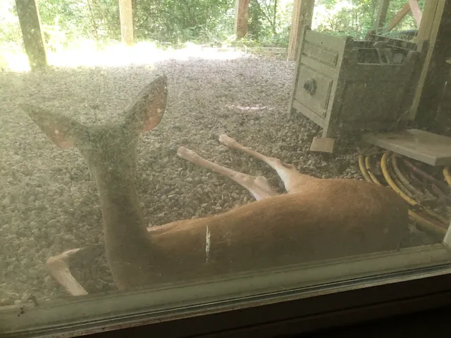a view of a bathroom