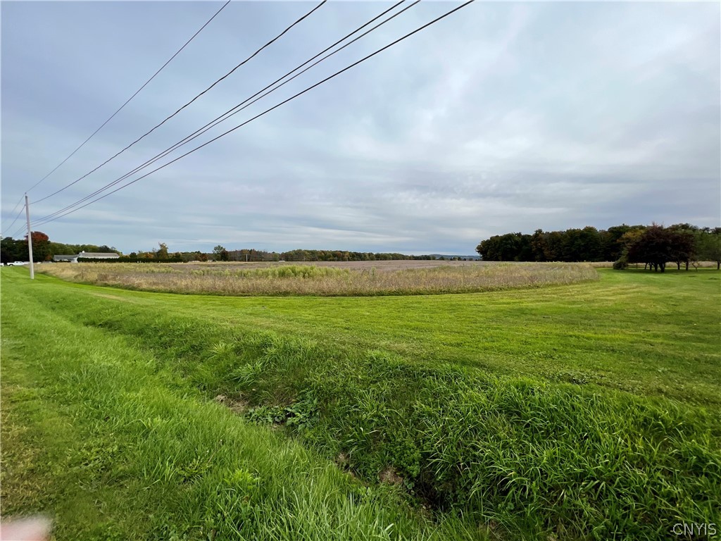 0 Stoney Brook Road Oneida, NY 13421 - Photo 2 of 12