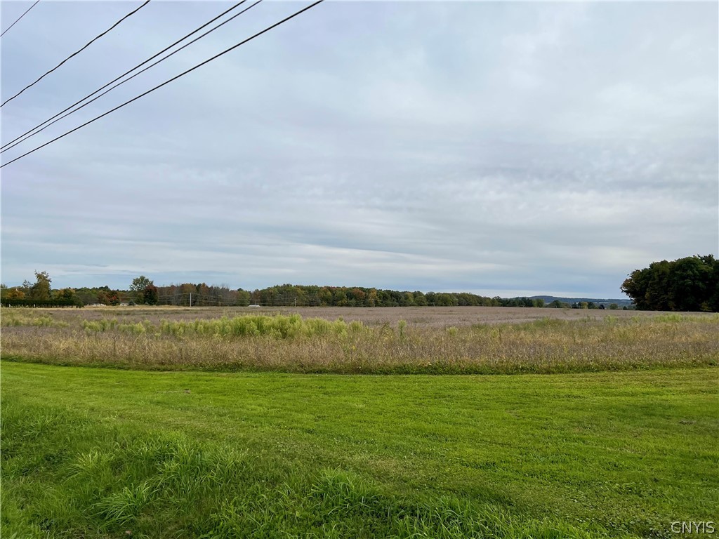 0 Stoney Brook Road Oneida, NY 13421 - Photo 3 of 12