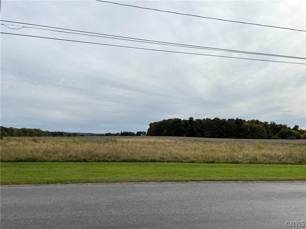 0 Stoney Brook Road Oneida, NY 13421 - Photo 4 of 12