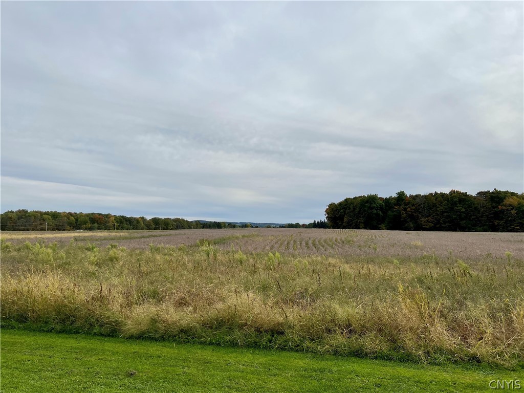 0 Stoney Brook Road Oneida, NY 13421 - Photo 5 of 12