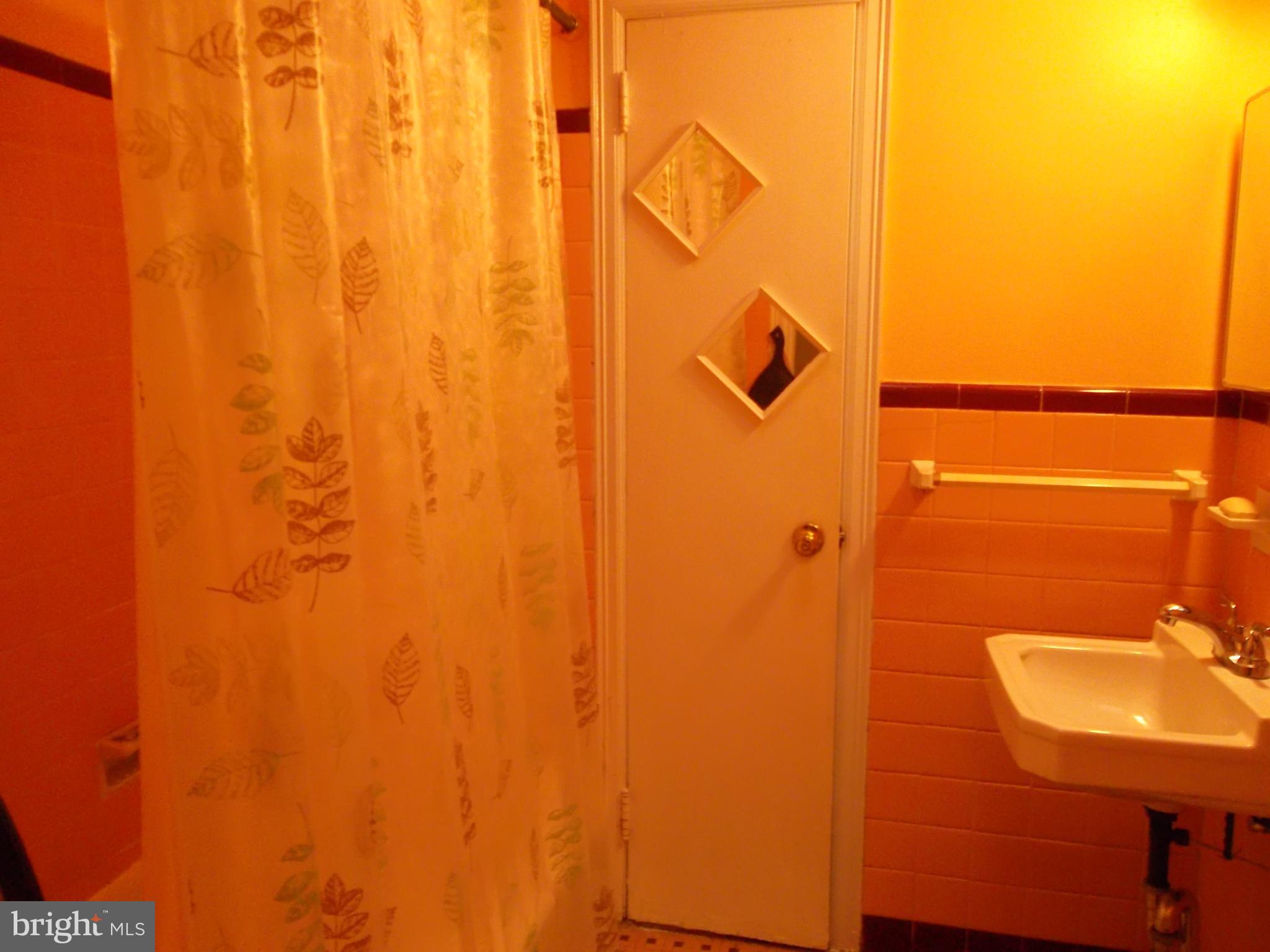 640 East Tabor Road Philadelphia, PA 19120 - Photo 6 of 6 Hall Bathroom