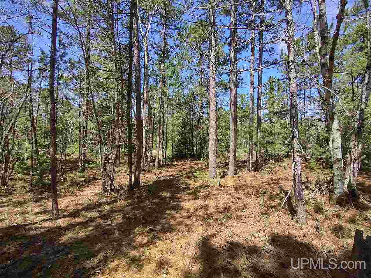 60 Little Rice Lk Road Lake Linden, MI 49945 - Photo 7 of 22
