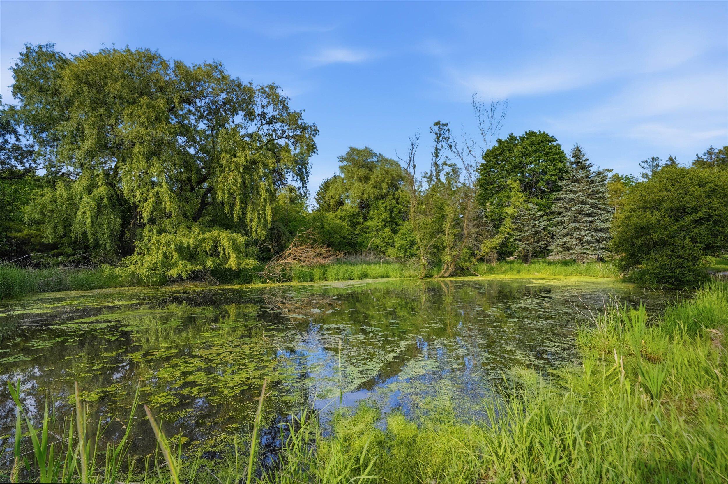 890 County Highway Kewaskum, WI 53040 - Photo 43 of 45 Pond on the property