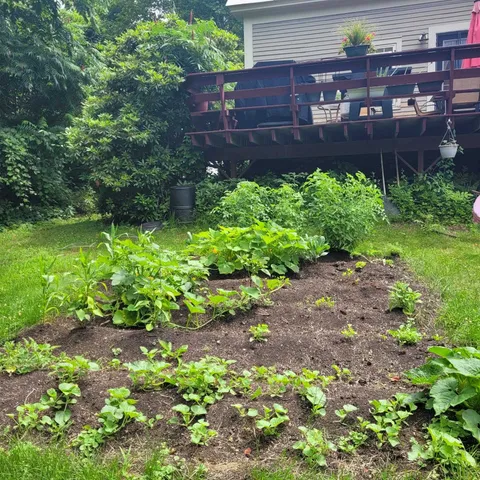 $380,000 | 19 Bible Hill Road, Claremont, NH 03743