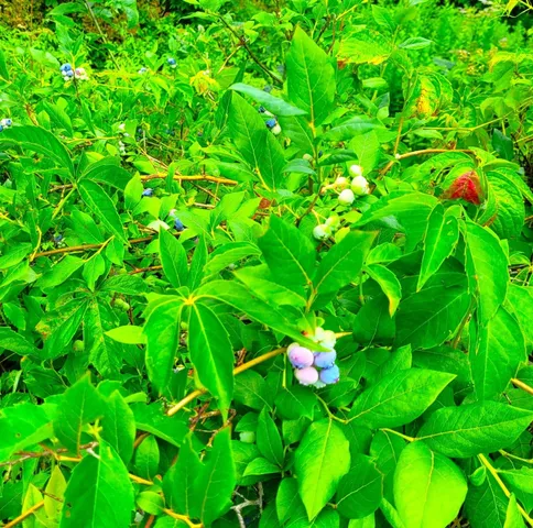 $380,000 | 19 Bible Hill Road, Claremont, NH 03743