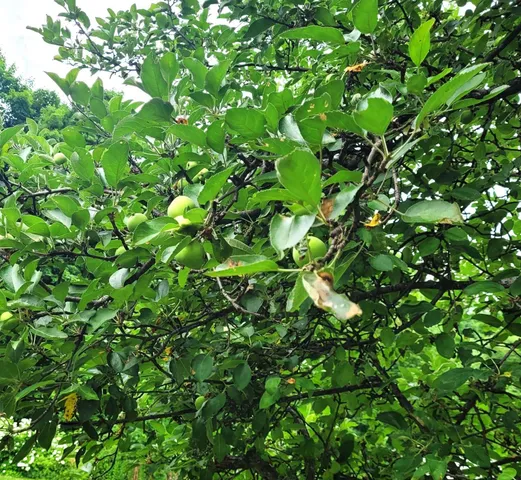 $380,000 | 19 Bible Hill Road, Claremont, NH 03743