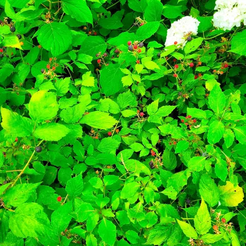 $380,000 | 19 Bible Hill Road, Claremont, NH 03743