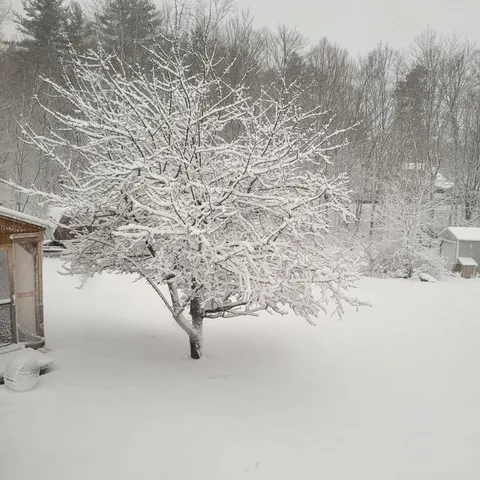 $380,000 | 19 Bible Hill Road, Claremont, NH 03743