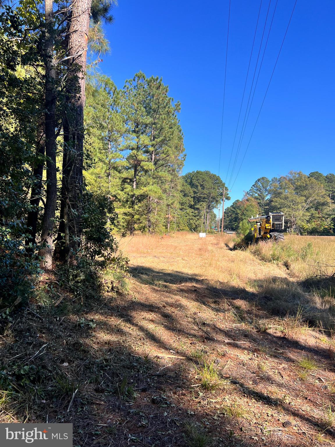 North Glebe Montross, VA 22520 - Photo 2 of 9 a view of ocean view with lots of trees
