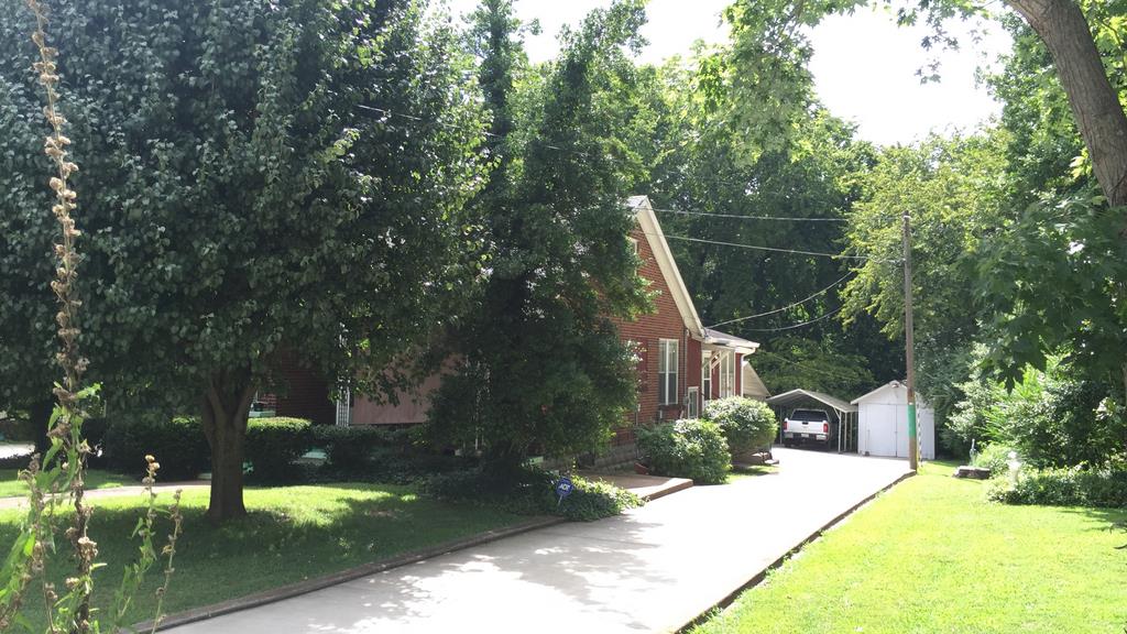 111 North Main Street Springfield, TN 37172 - Photo 3 of 25 a view of a large trees in a backyard of a house