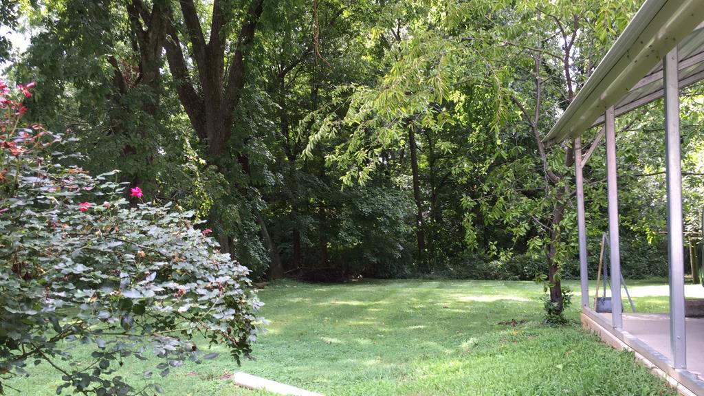 111 North Main Street Springfield, TN 37172 - Photo 6 of 25 a view of yard with green space