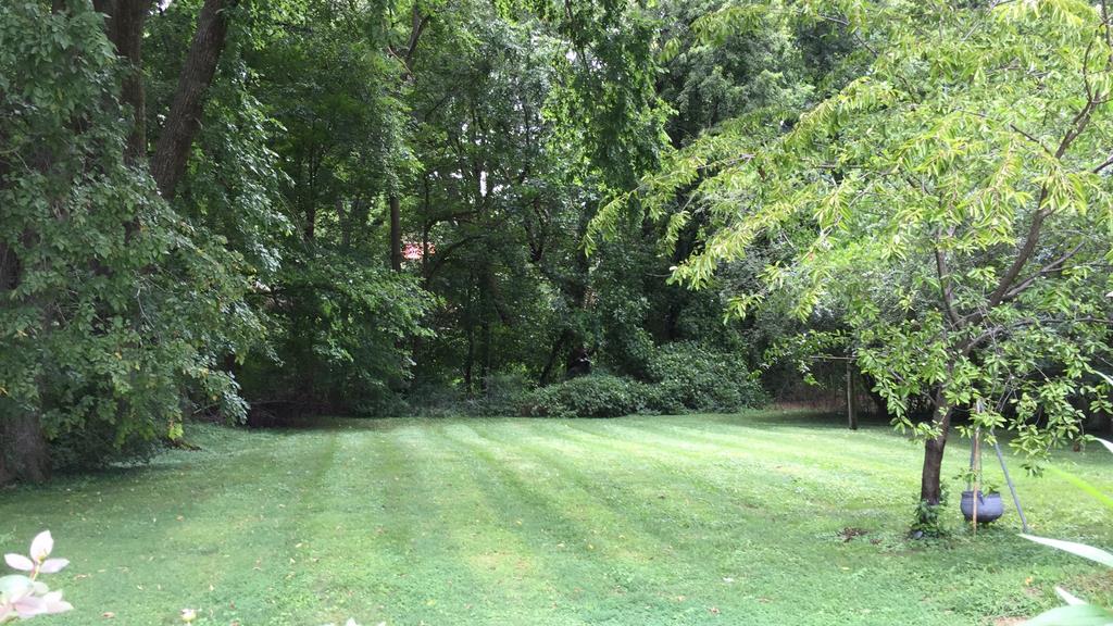 111 North Main Street Springfield, TN 37172 - Photo 7 of 25 a view of an outdoor space and a yard