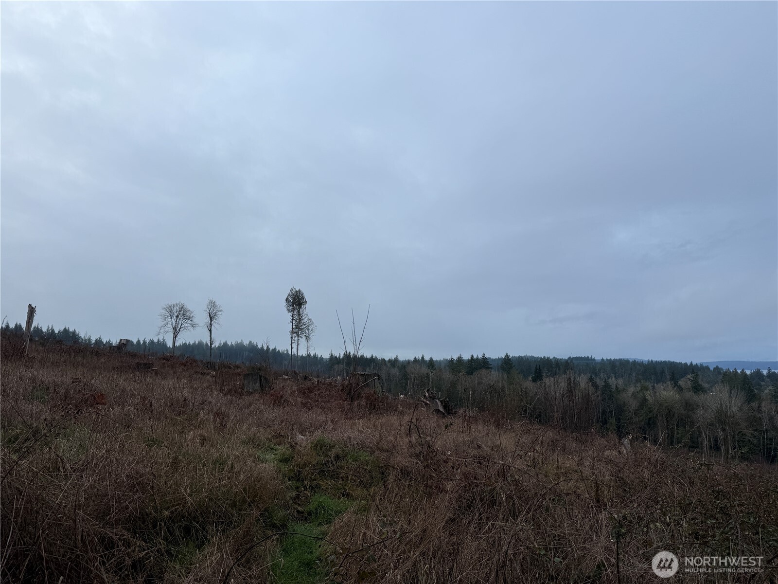 6-track 6-track Rimstone Loop Belfair, WA 98528 - Photo 3 of 7 a view of a field and trees in the background